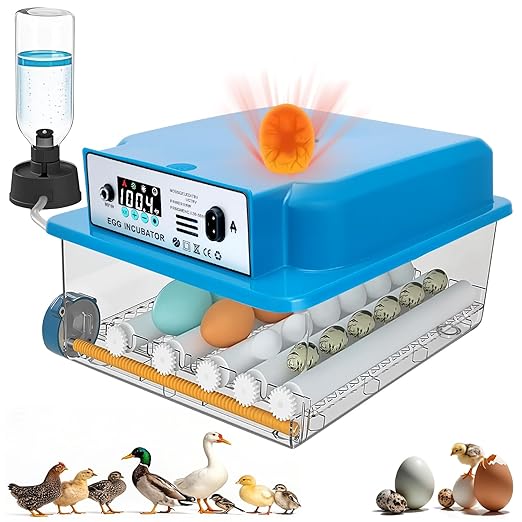 Automatic Egg Incubator 16 Egg Incubators by ZtexkeeHomeFurniture