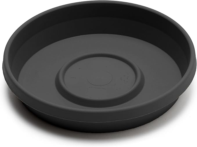 Bloem Terra Resin Saucer Tray: 4.75" Bottom Width - Image 3