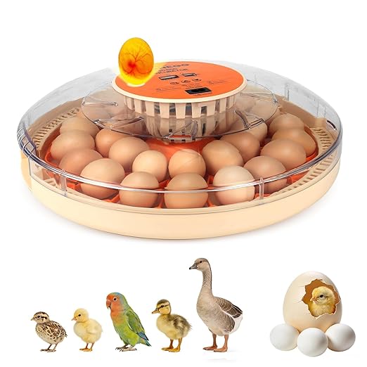 2nd Gen 30 Egg Incubator, Wide-Range Humidity by Unknown