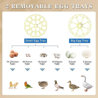 Incubators for Hatching Eggs, 18-Egg Incubator - Image 3