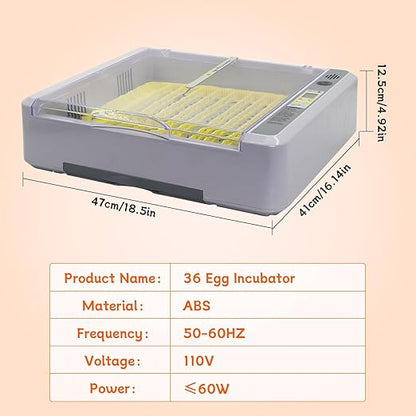Automatic Egg Incubator, Automatic Egg Turner - Image 8