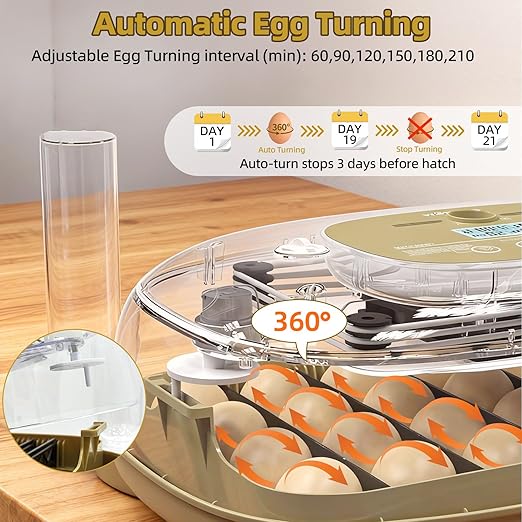 24 Incubators for Hatching Eggs, Egg Incubator - Image 5