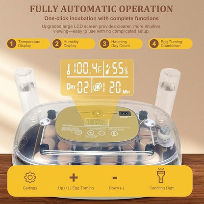 Smart 24-Egg Incubator for Hobbyists, Full-Stage Adaptive Humidity & Temp - Image 4