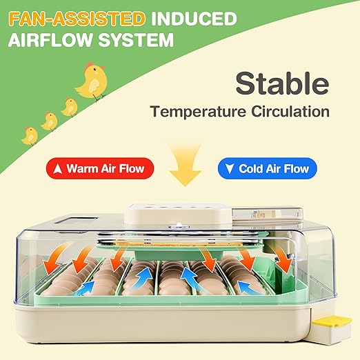 Sailnovo 48 Egg Incubator for Hatching Eggs - Image 3