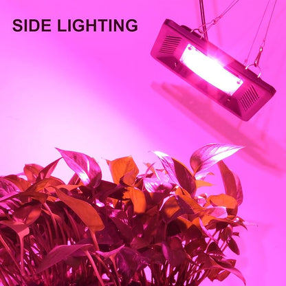 Waterproof 100W LED Grow Light Full Spectrum, New Technology COB LED Grow Light - Image 6