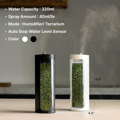 Moss Air – Living Moss Terrarium Humidifier | Soothing Mist Fountain & Ambient - Image 6