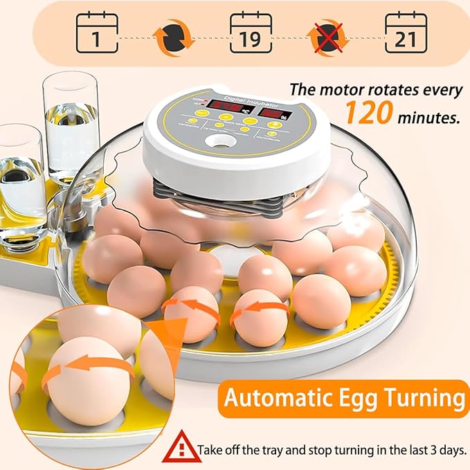 18/60 Incubator for Hatching Eggs, Egg Incubators - Image 4