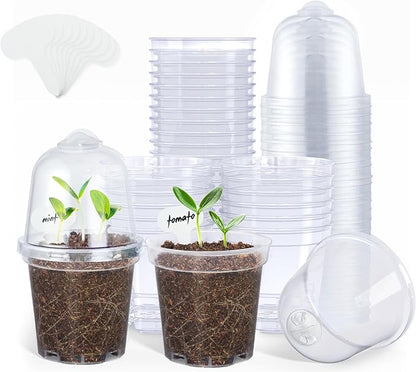 homenote Clear Nursery Pots for Plants, 3 Inch Plant Pot for Planting by HOMENOTE