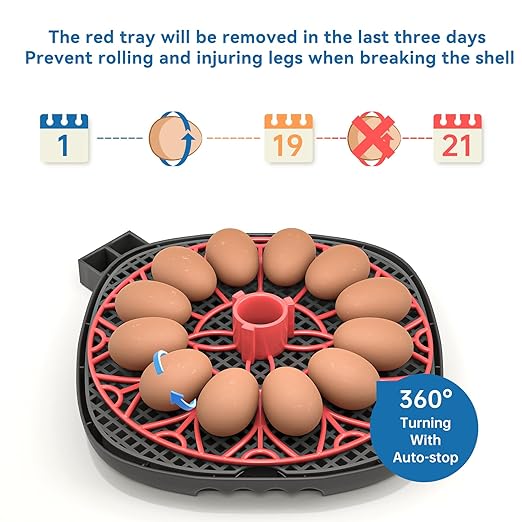 12-24 Egg Incubator with Humidity Display, Egg Candler, Automatic Egg Turner - Image 4