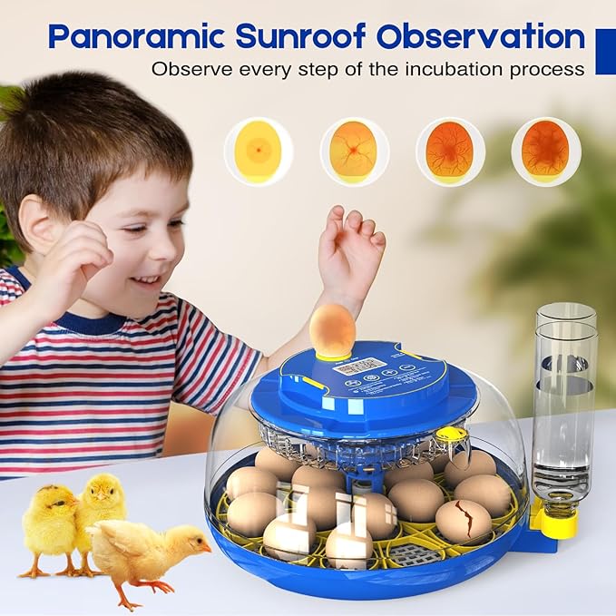 Egg Incubator for Hatching Chicks, 18 Eggs Automatic Egg Turner Multifunctional - Image 7