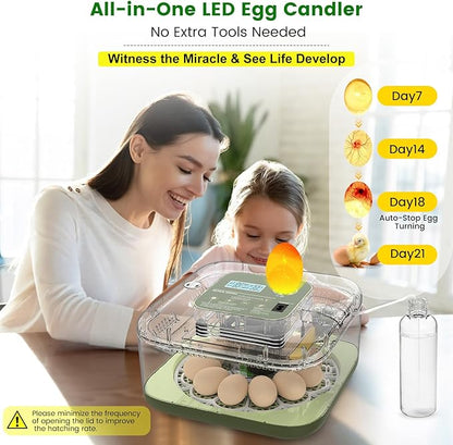 12 Egg Incubator with Automatic Turning, Auto Water Refill & Temp/Humidity - Image 6