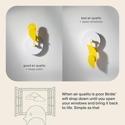 Birdie 2.0 - Design Indoor CO2 Monitor - Air Quality Meter - Image 3