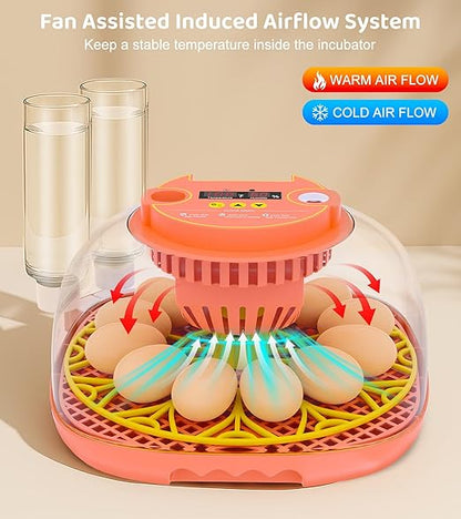12 Egg Incubator for Hatching Eggs, Smart Temperature and Humidity Control - Image 2