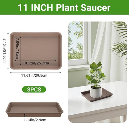 GREANER Brown Plant Saucers for Indoors, 11 Inch Heavy Duty Seedling Starter - Image 2