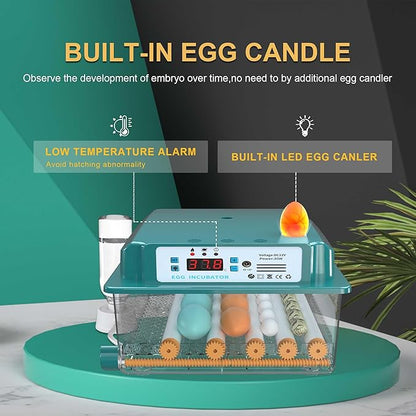 Choies 16 Egg Incubator, Incubators - Image 5