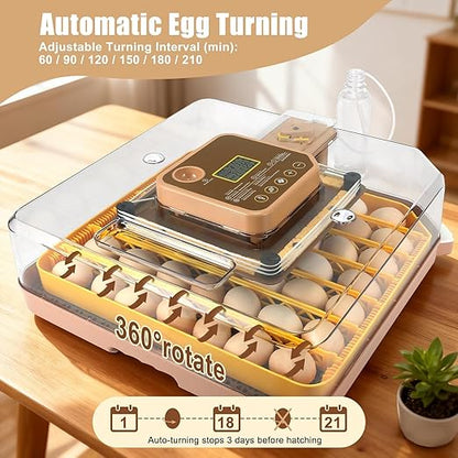 4th Gen - 48 Egg Fully Automatic Incubator, 2026 Upgraded Design, Intelligent - Image 7