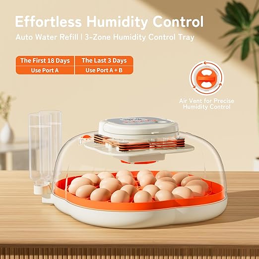 25 Egg Incubator, Extra-Large Interior - Image 4