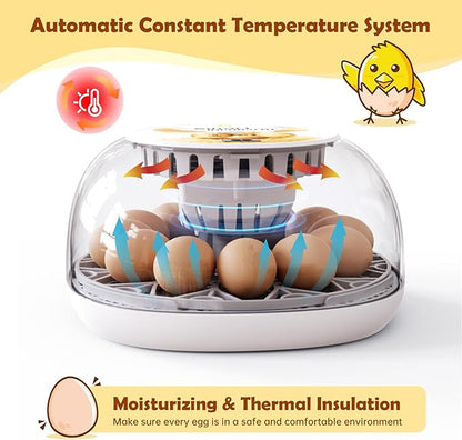 Egg Incubator for Hatching Chicks, Automatic Egg Turner Holds 12 Eggs, Smart - Image 2