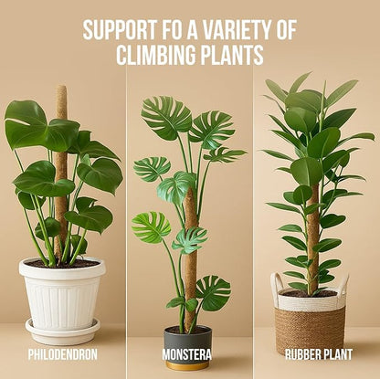Moss Pole Monstera Plant Support – 48” Bendable Moss Pole Monstera Plant Support - Image 5