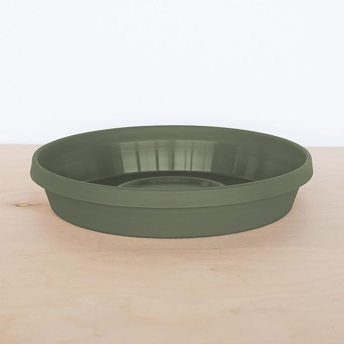 Bloem Terra Resin Saucer Tray: 11.25" Bottom Width - Image 6