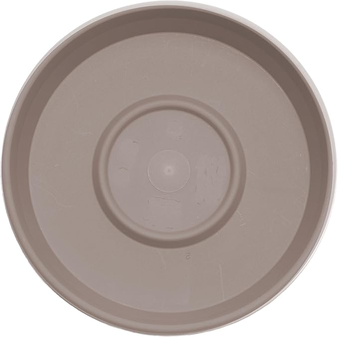 Bloem Terra Resin Saucer Tray: 4.75" Bottom Width - Image 5