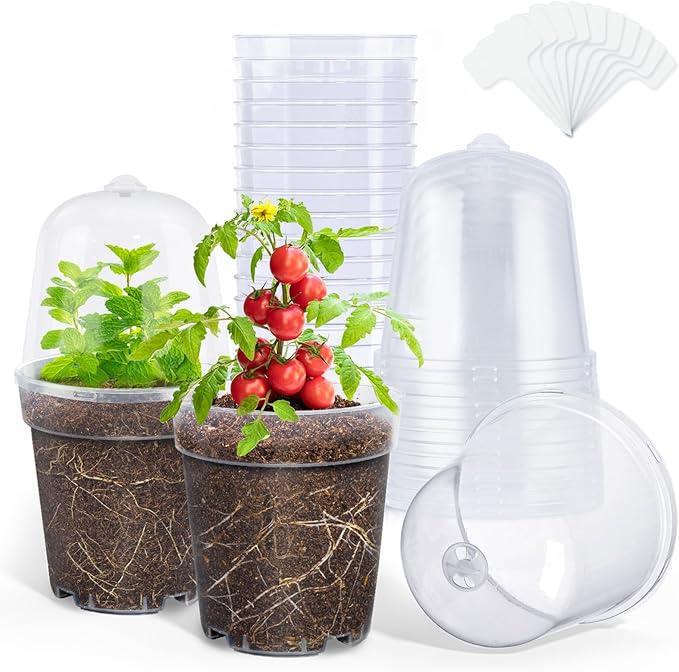 homenote Clear Nursery Pots for Plants, 5 Inch Plant Pot for Planting by HOMENOTE