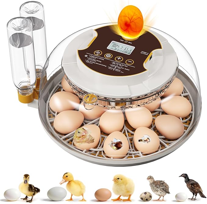 18 Egg Incubator with Automatic Egg Turning & Humidity Control, Built-in Egg by MQUPIN