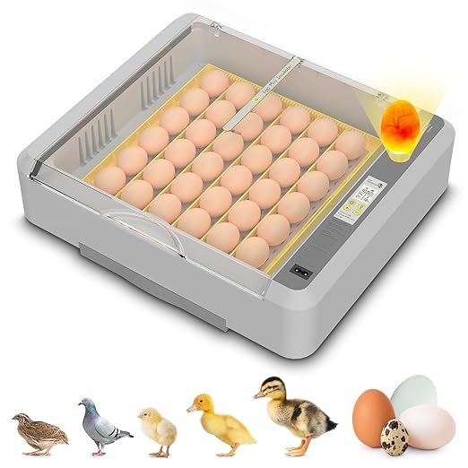 36-60 Egg Incubator with Automatic Egg Turning and Humidity Control, Adjustable by Innvello