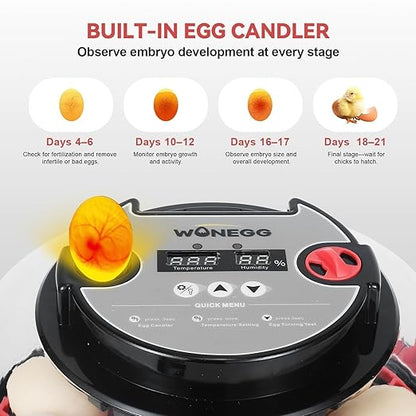 2nd Gen - 12 Egg Automatic Incubator, Two-Stage Humidity - Image 4