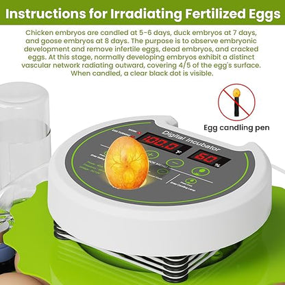 18-Egg Incubator incubators for Hatching Eggs - Image 4