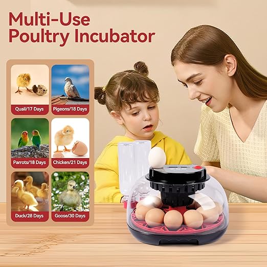 12 Egg Incubators for Hatching Eggs, Chicken Egg Incubator - Image 7