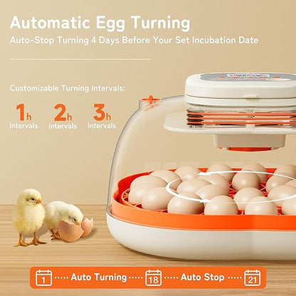25 Egg Incubator, Extra-Large Interior - Image 5
