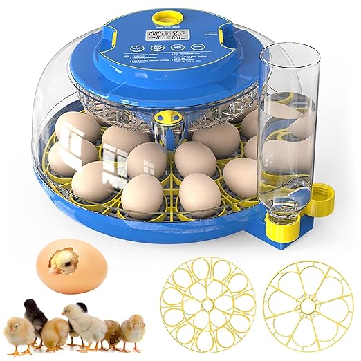Incubators for Hatching Eggs, 18 Egg Incubator by Unknown