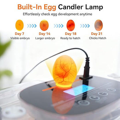 Incubators for Hatching Eggs, 24 Egg Incubator, Automatic Egg Turner - Image 5