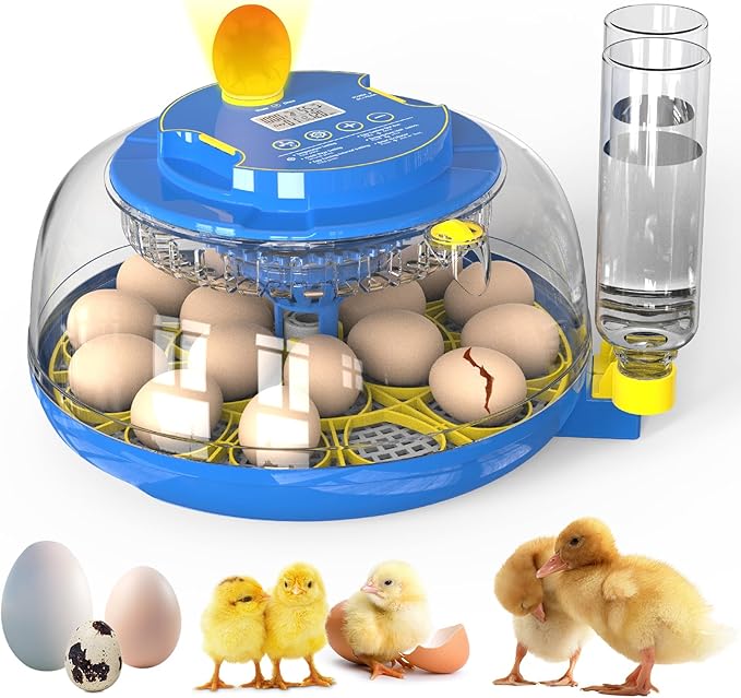 Egg Incubator for Hatching Chicks, 18 Eggs Automatic Egg Turner Multifunctional by SENXINGYAN