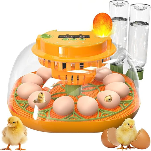 Incubators for Hatching Eggs, 12 Egg Incubator by Viowey