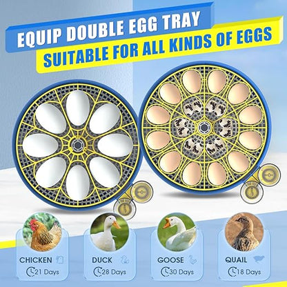 incubators for hatching eggs，18 Egg Incubator, egg incubator - Image 7