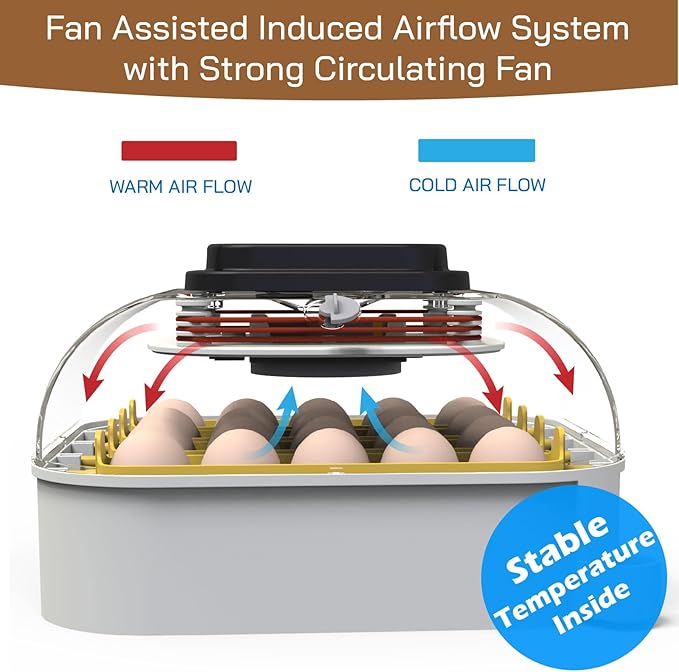 MATICOOPX 20 Egg Incubator - Image 2