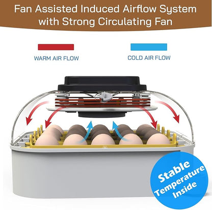 MATICOOPX 20 Egg Incubator - Image 2
