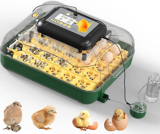 30 Egg Incubator for Hatching Eggs by DETODDA