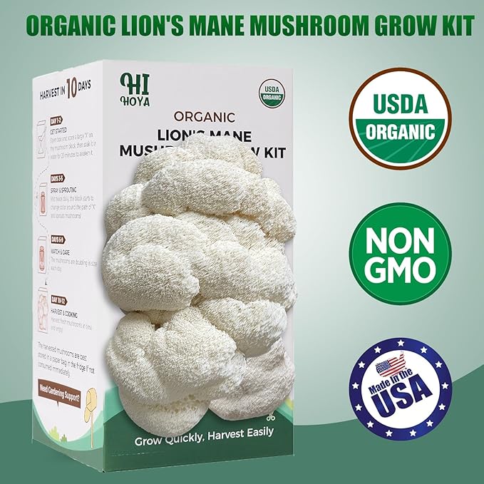 Large Organic Lion's Mane Mushroom Grow Kit - Image 2