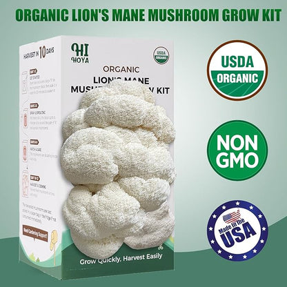 Large Organic Lion's Mane Mushroom Grow Kit - Image 2