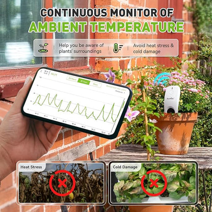 RainPoint 3-in-1 APP Remote Monitoring WiFi Soil Meter - Image 4