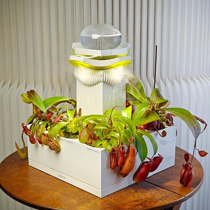 LeGrow Nepenthes Terrarium System – Pitcher Plant Planter by LeGrow