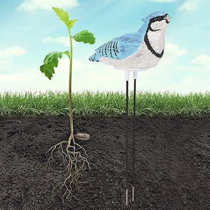 Watering Alarm Bird Plant Soil Tester, Hygrometer Sensor Gardening Tool - Image 2