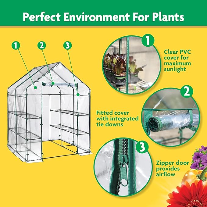 Miracle-GRO 4'8" x 4'8" x 6'5" Outdoor Mini Walk-in Greenhouse Plant Tent - Image 3