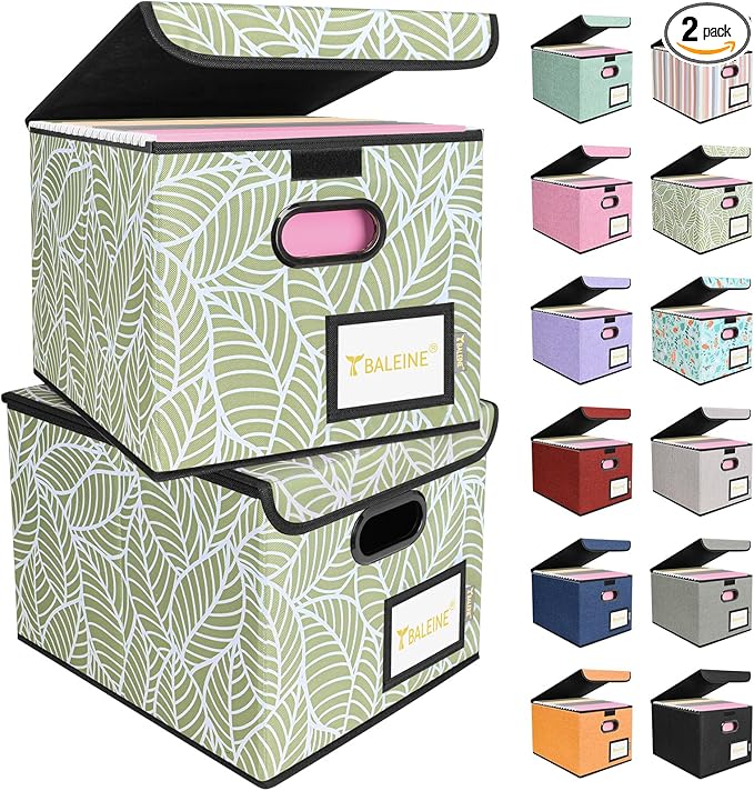 BALEINE File Organizer Box by BALEINE