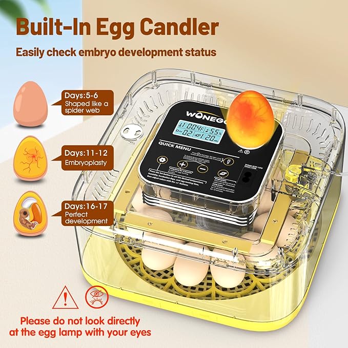 Incubator for Hatching Eggs, 12 Eggs Incubator - Image 4
