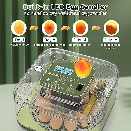 Incubators for Hatching Eggs 12 Egg Digital Egg Incubator Precision Auto Temp - Image 4