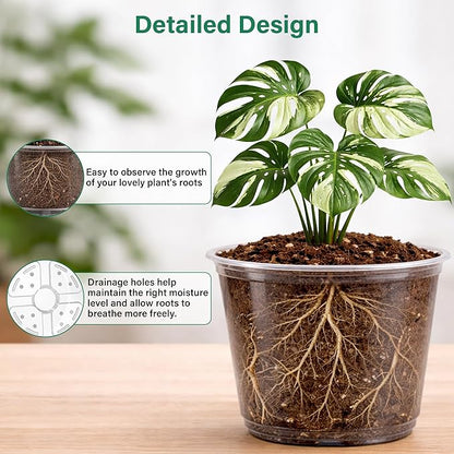 20 Pack 8/6/5/4/3.5 Inch Reinforced Large Clear Nursery Pots - Image 3
